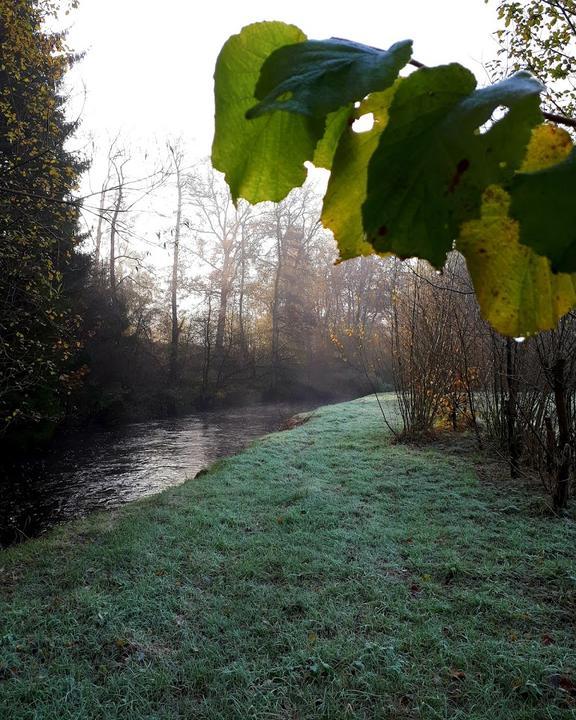 Campingplatz und Restaurant Bohmeschlucht